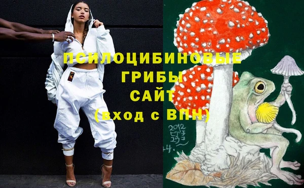 гидра Балахна