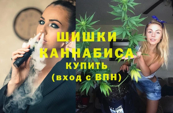 гидра Балахна