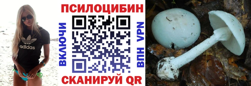 сколько стоит  Сафоново  Псилоцибиновые грибы Psilocybine cubensis 